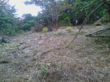 Fairmont hill top, Westmoreland, Jamaica - Residential lot for Sale